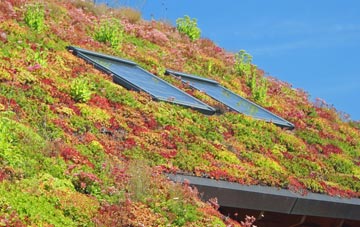 Stow Cum Quy living roof systems