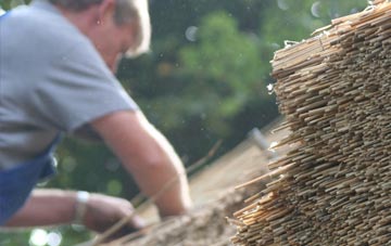 professional Stow Cum Quy thatchers