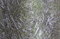 Stow Cum Quy fibreglass roof work